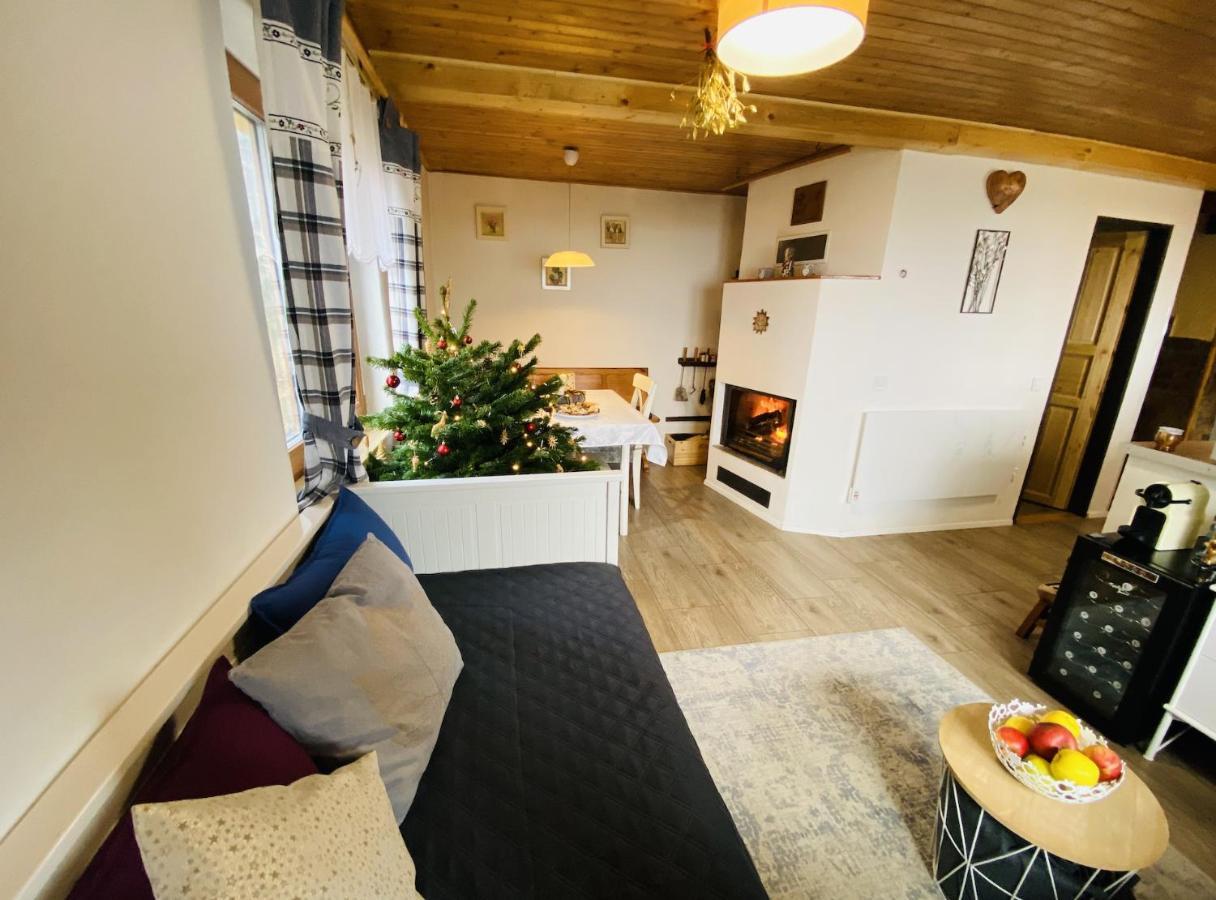 Apartment Horska U Kamenicka Jachymov